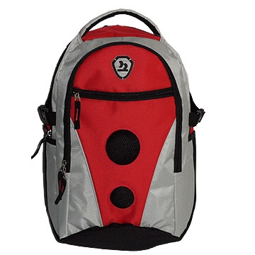 2013 Fashion backpack for campus