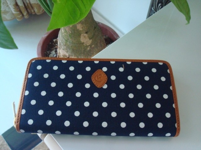 Dots style canvas wallet